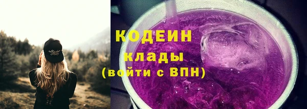 винт Няндома