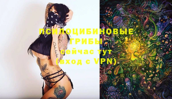 винт Няндома