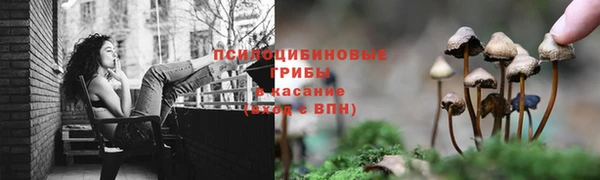 винт Няндома