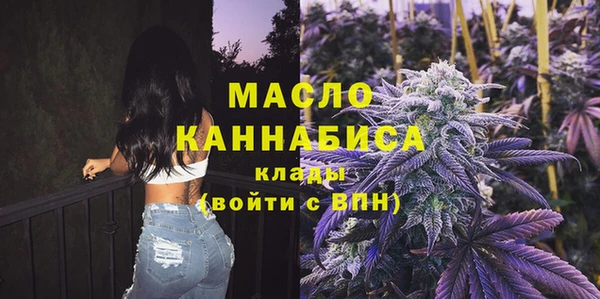 винт Няндома