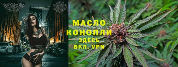 винт Няндома