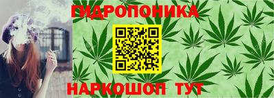 apvp Кимры