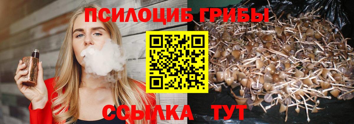 Псилоцибиновые грибы MAGIC MUSHROOMS  где можно купить   Приморско-Ахтарск  Вход с VPN 