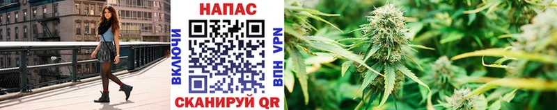 Каннабис гибрид  как найти   Приморско-Ахтарск 