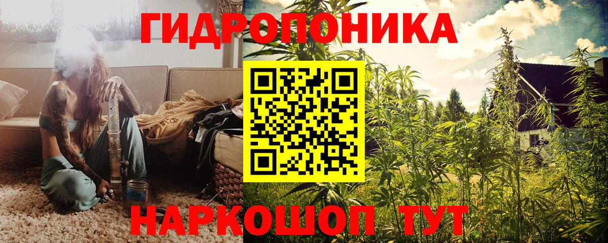 Бошки марихуана сатива Приморско-Ахтарск
